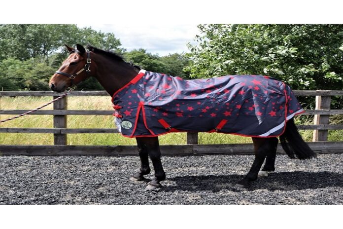 Turnout Rug Turnout Rug